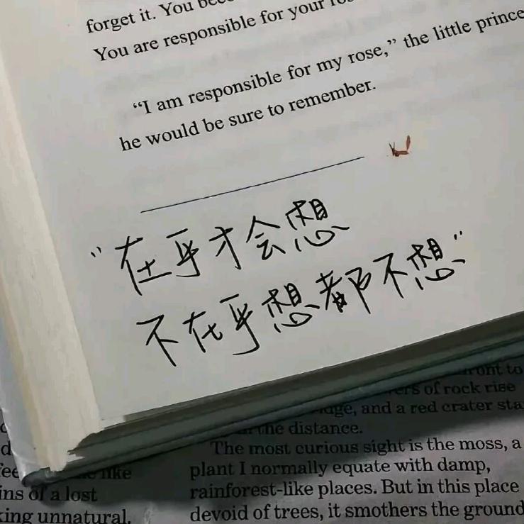 佳！