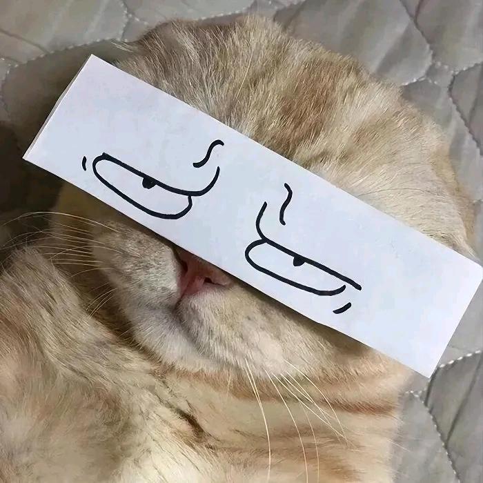 安小西
