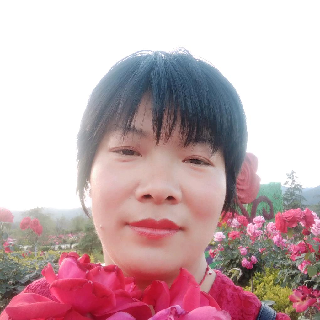 西峡小马家政服务