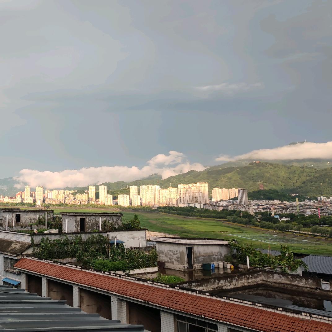 小磊视野