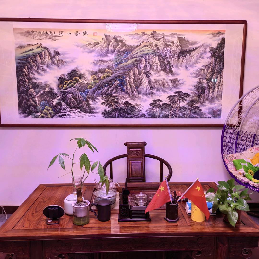 钟情白色