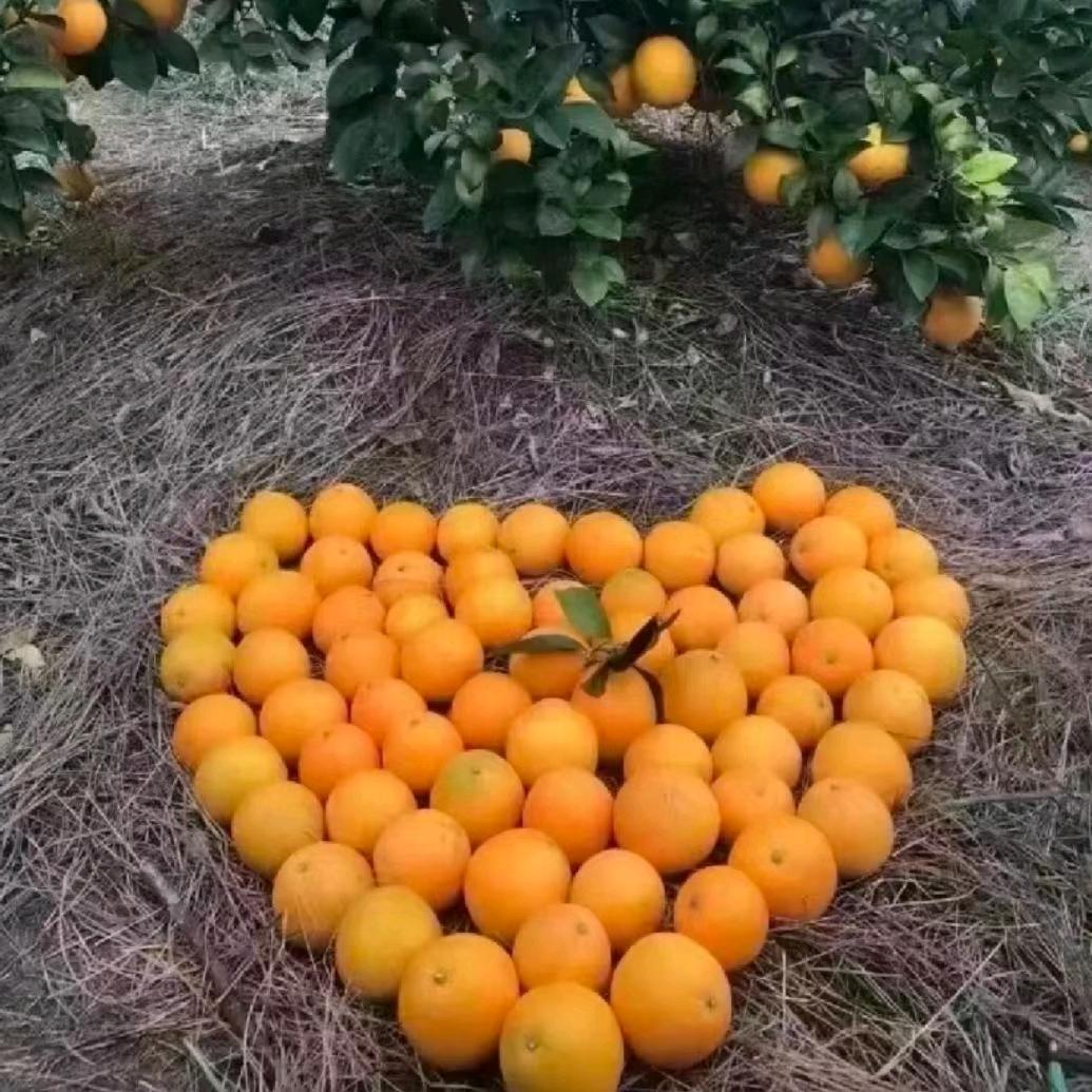 青青