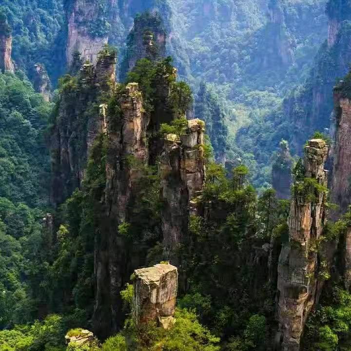 感恩的心