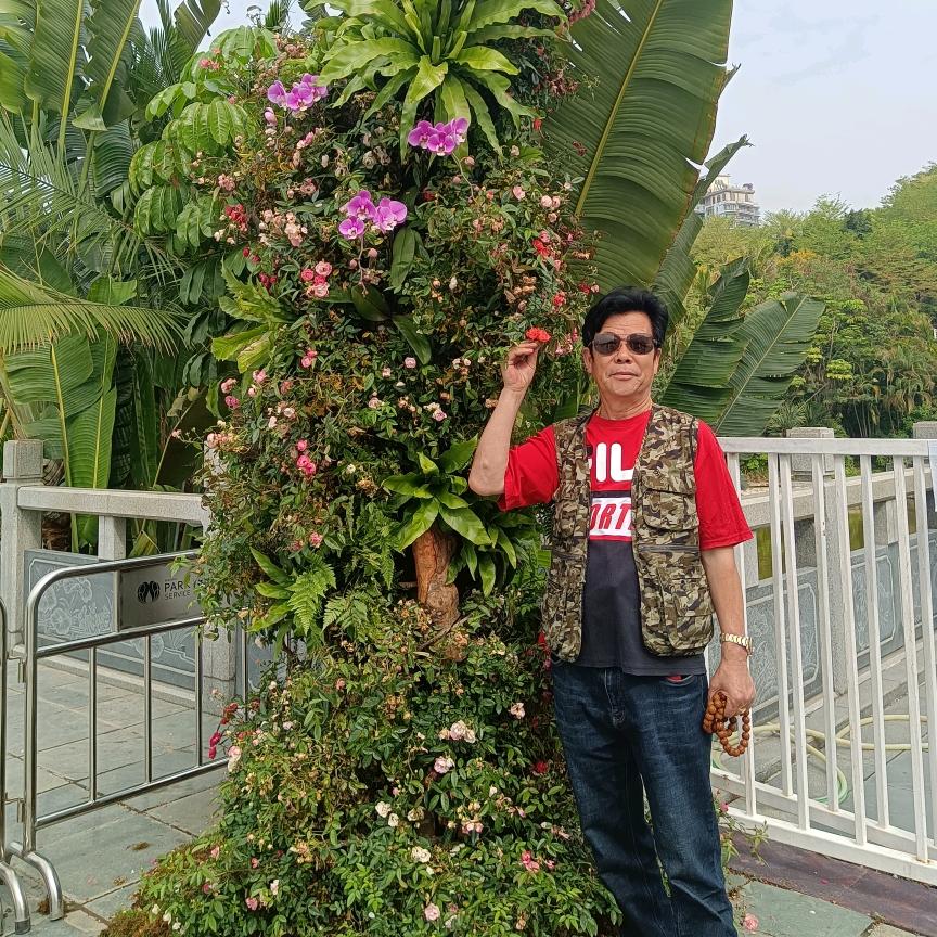 秦建亭