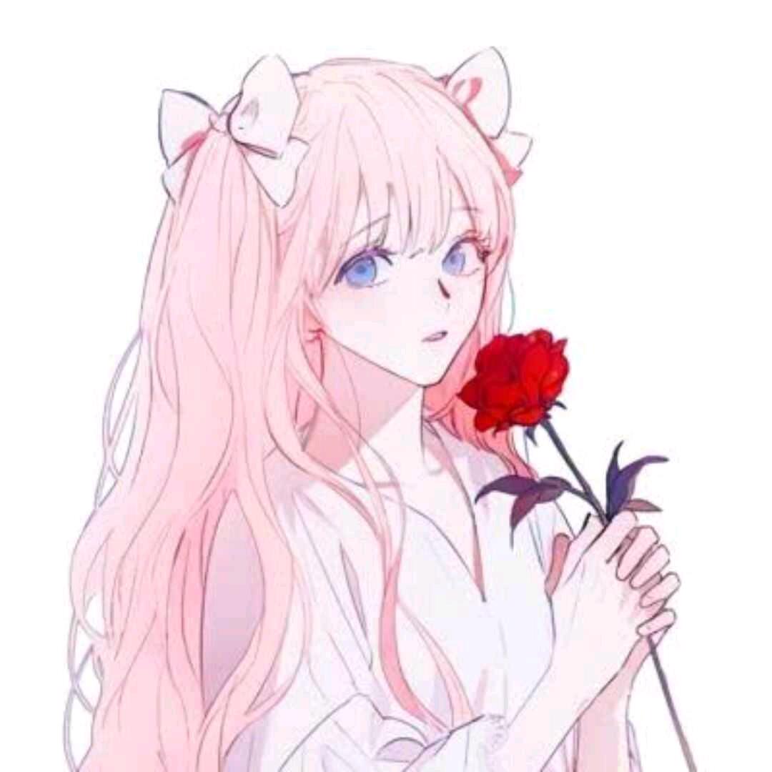 杨º