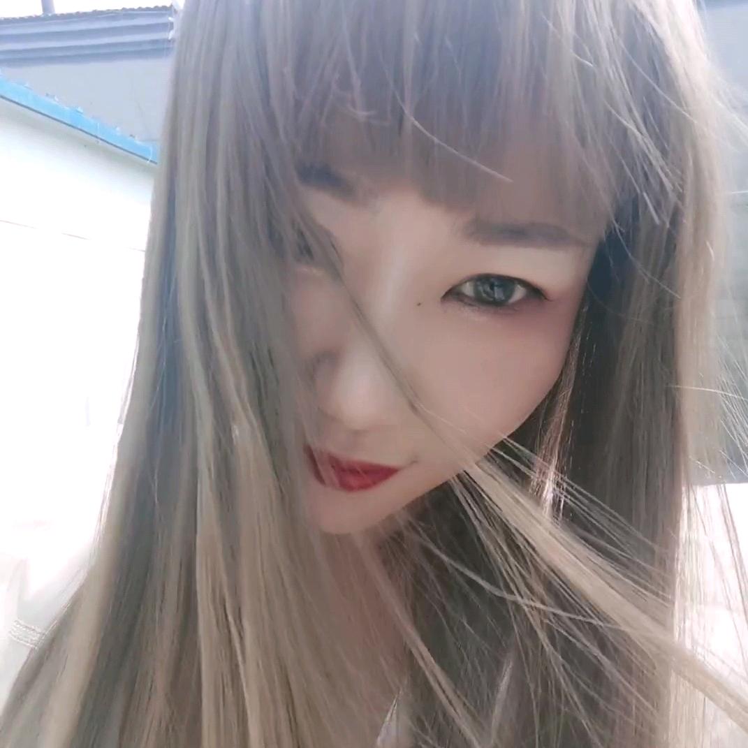 洋 燕子