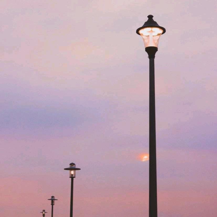 志愿填报夏老师