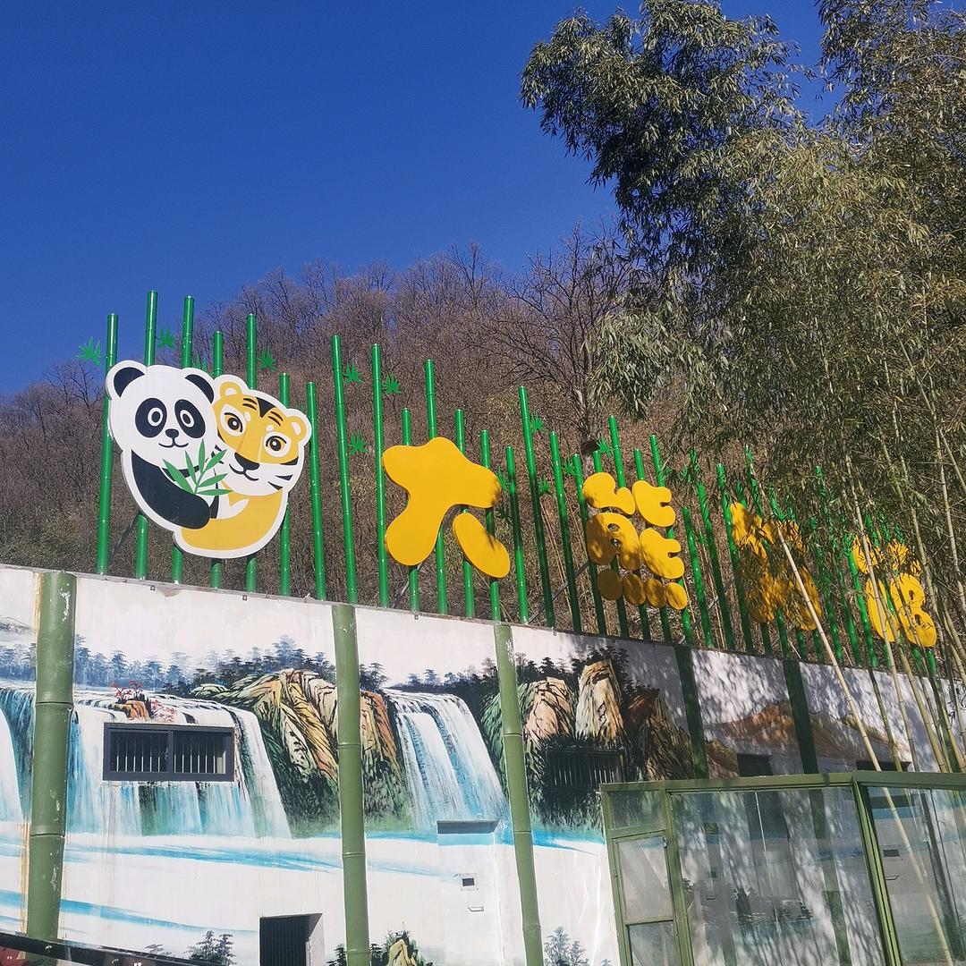 竹海野生动物园“熊猫姐姐”