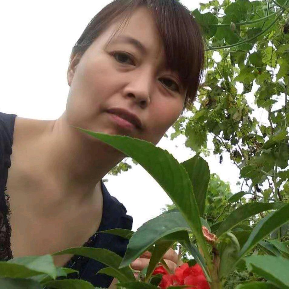 霞姐🍒樱桃缘