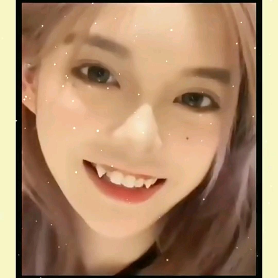 拉斐r.T