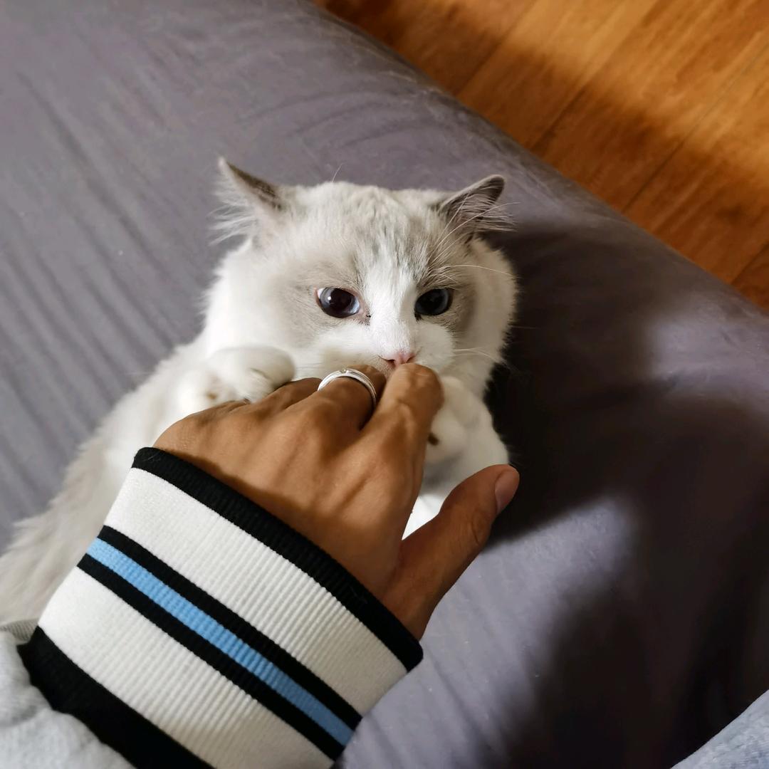 怪瘦👻