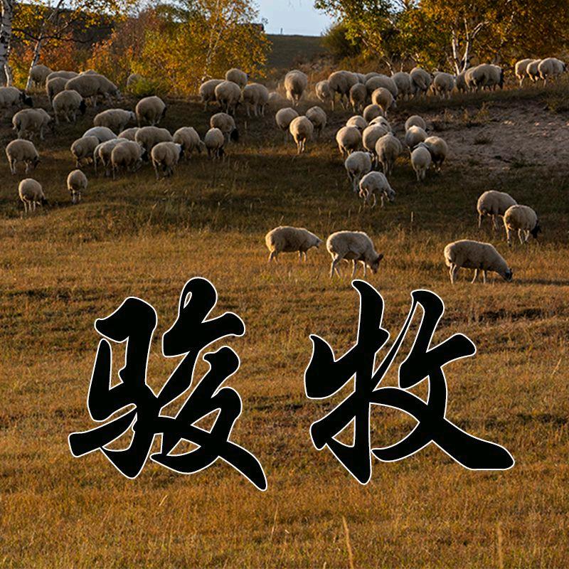 骏牧家居旗舰店