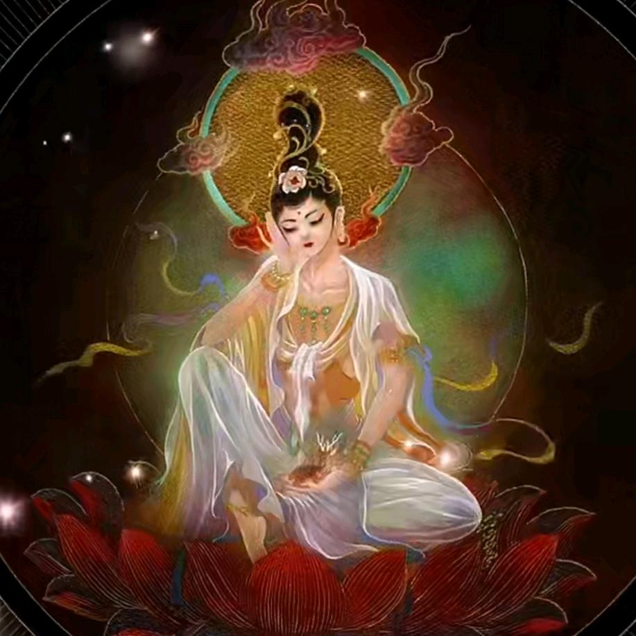 妙乐善缘