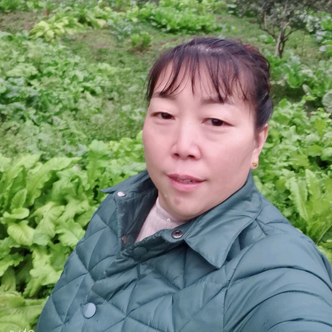 英姐姐
