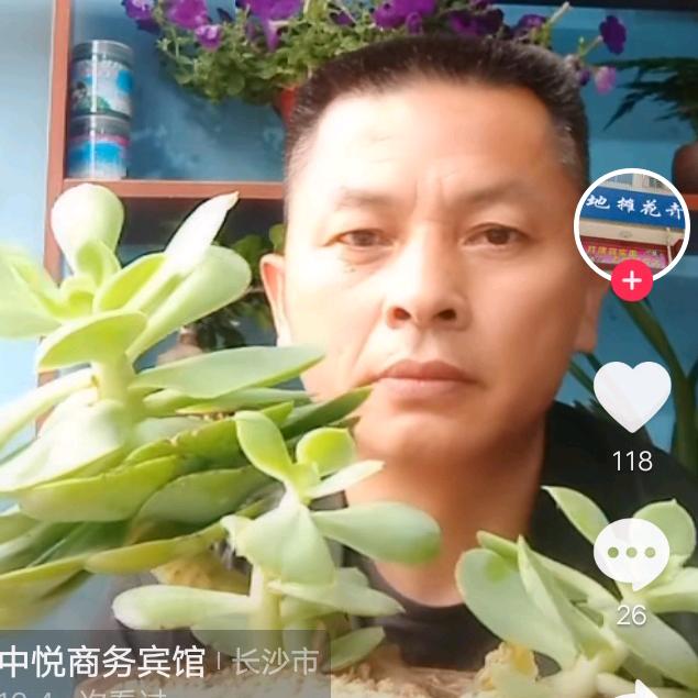 地摊花卉