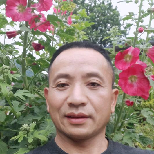 生意难做