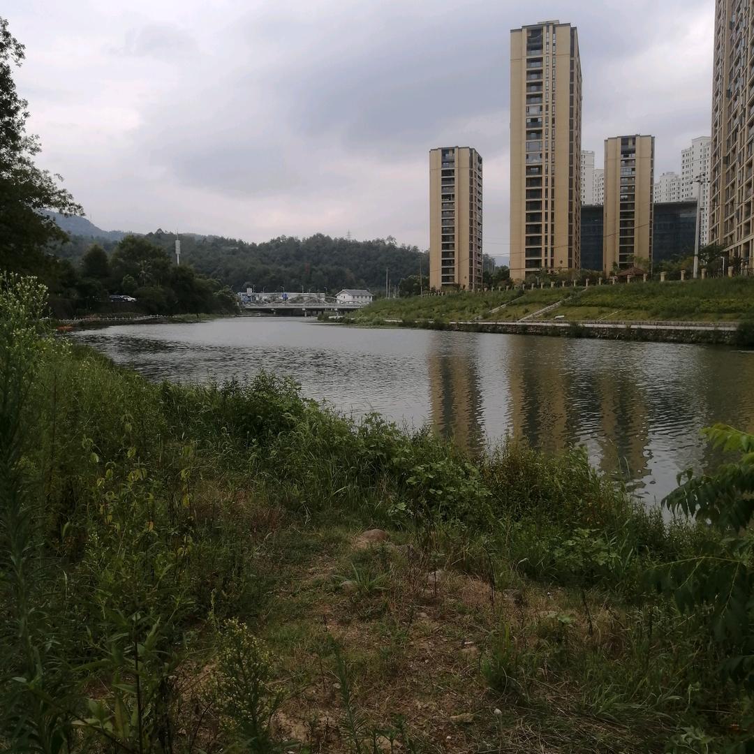 梦己醒