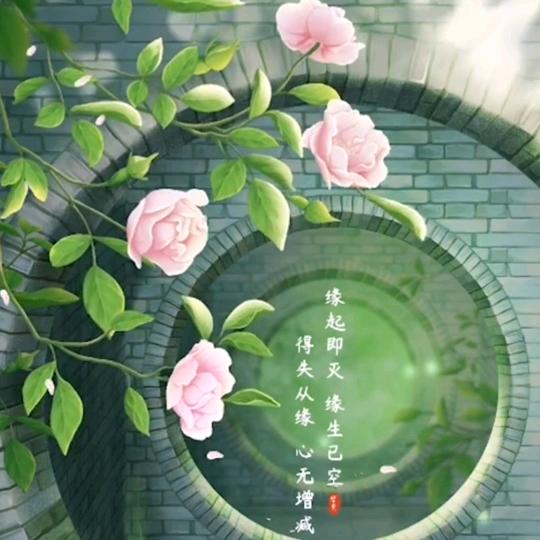 🌹红梅迎❄️🌹