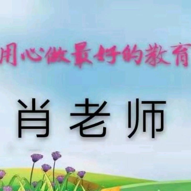 肖老师讲语数英