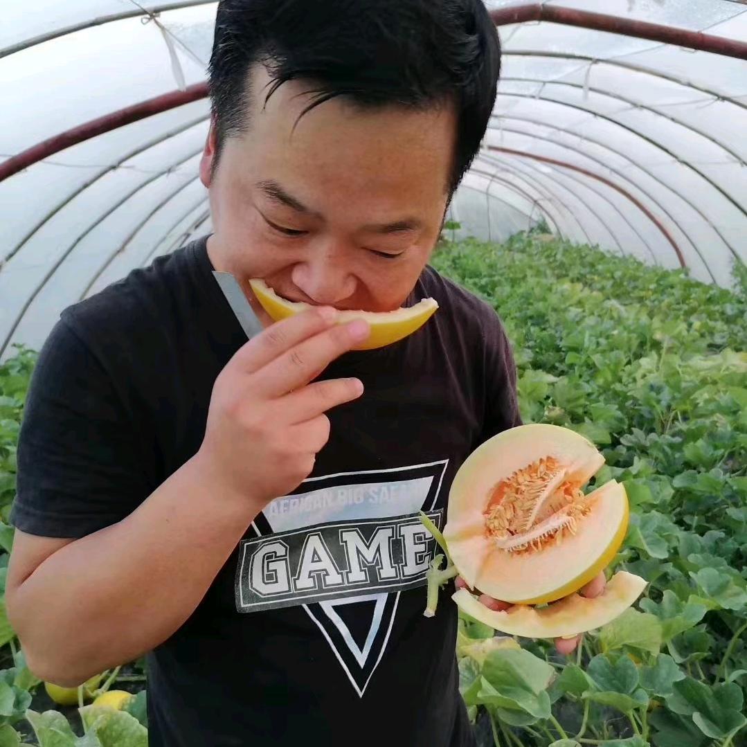 老二鲜生（泾阳普罗旺斯西红柿）