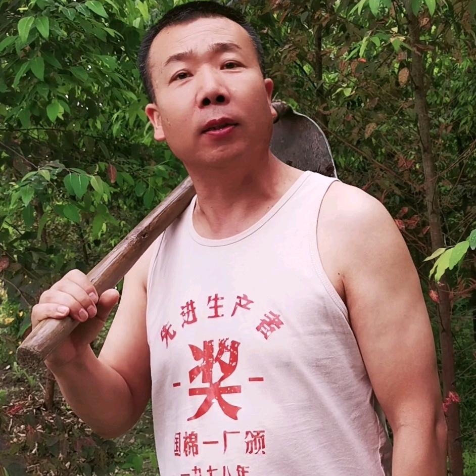杨杨