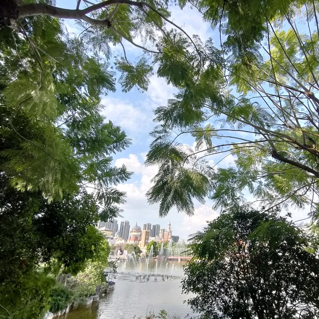 🌈小堆堆