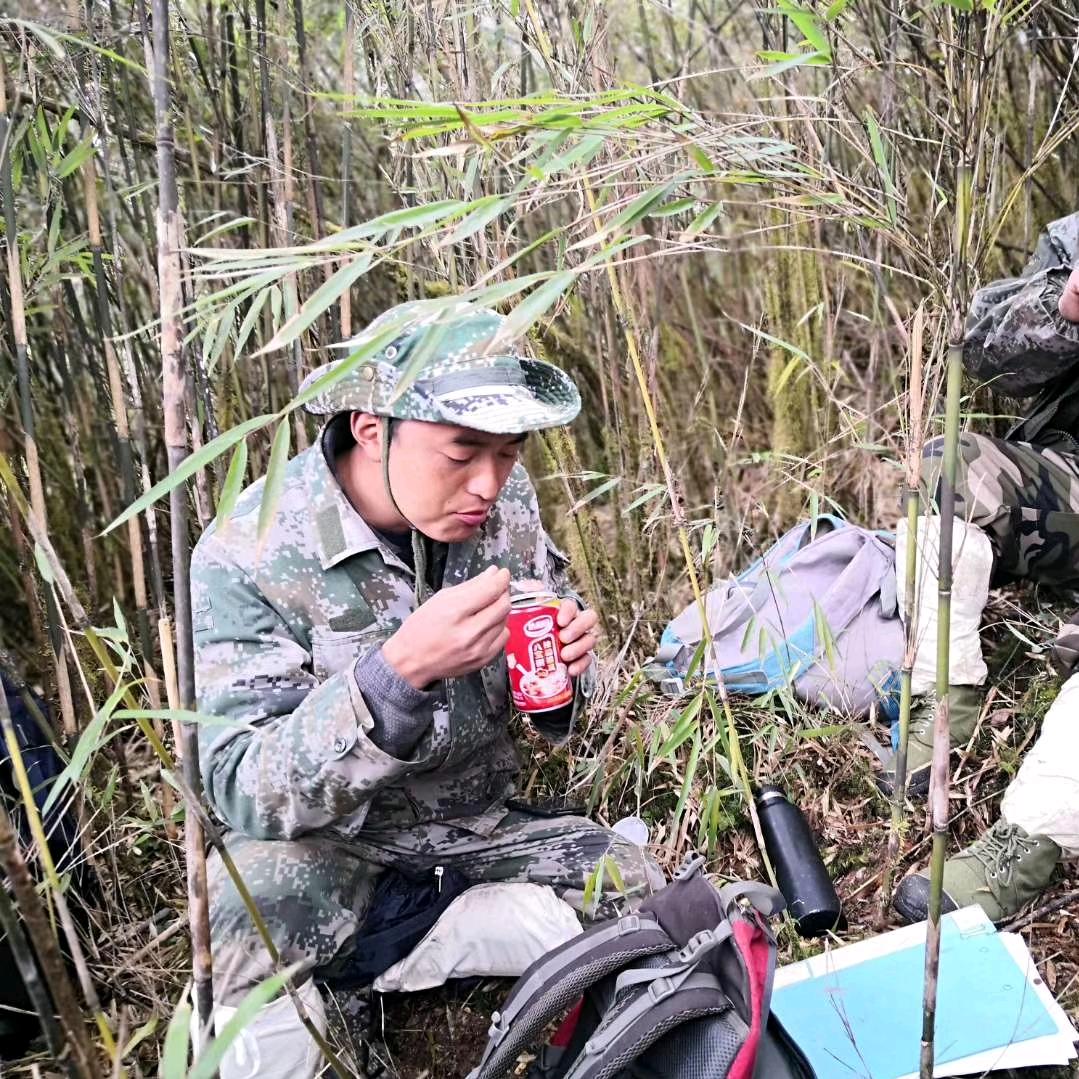 巡护员牛布
