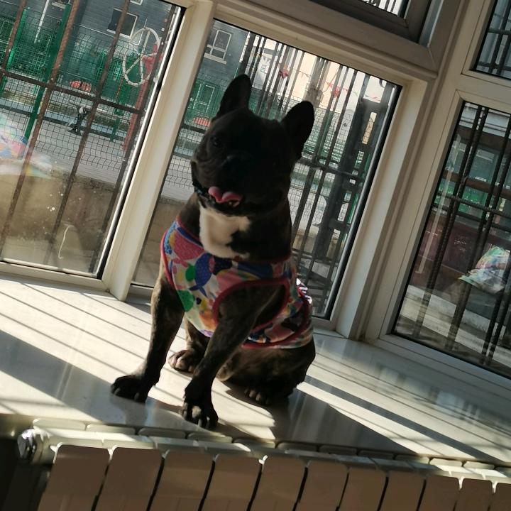 用户6250897256428赵波