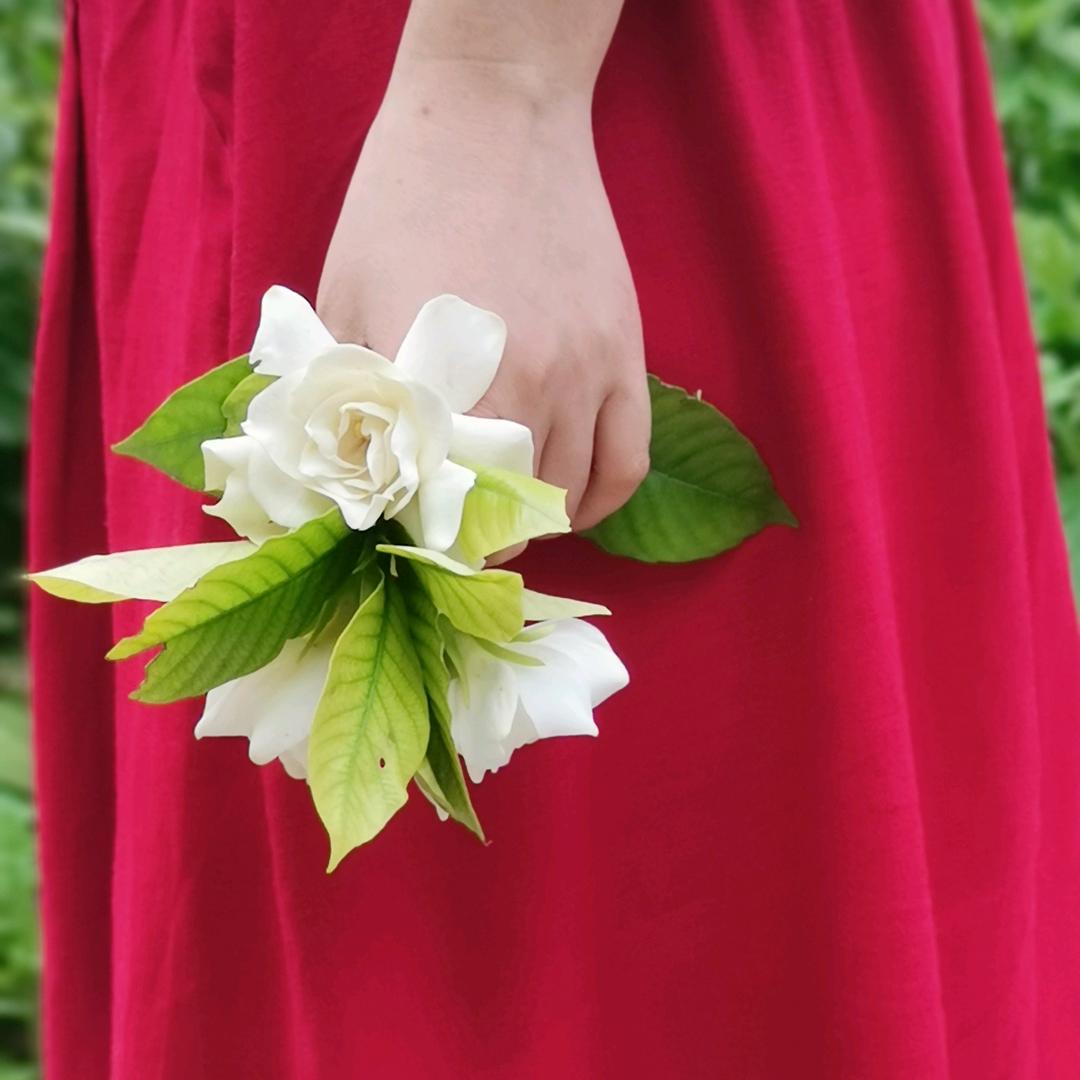 蒲公英🌷