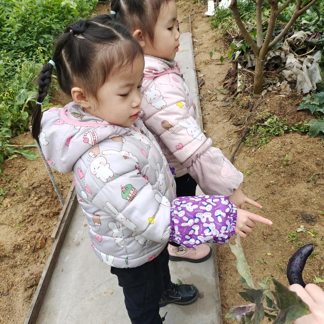 沁园圆