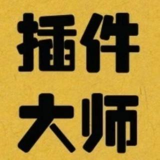插件大师