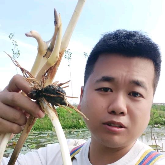 小杨哥哥哥