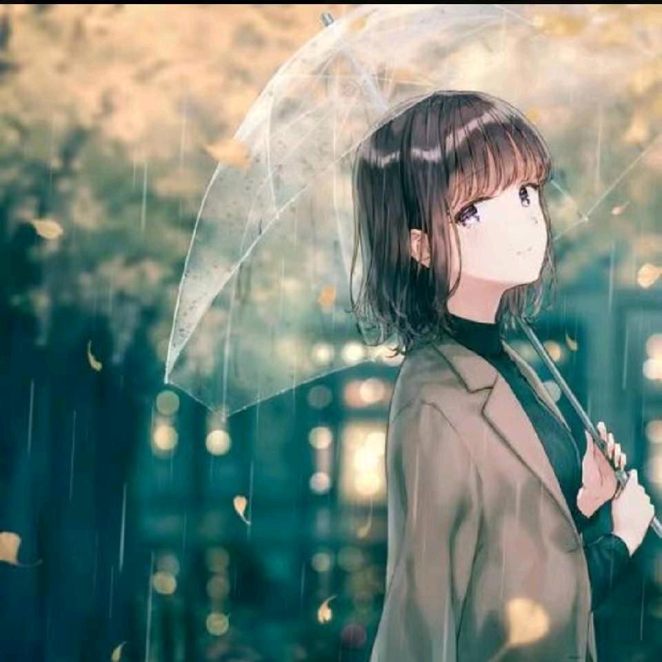 茉莉花