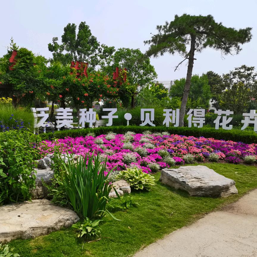 贝利得BLD花卉旗舰店