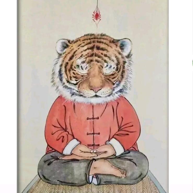 小张哥哥