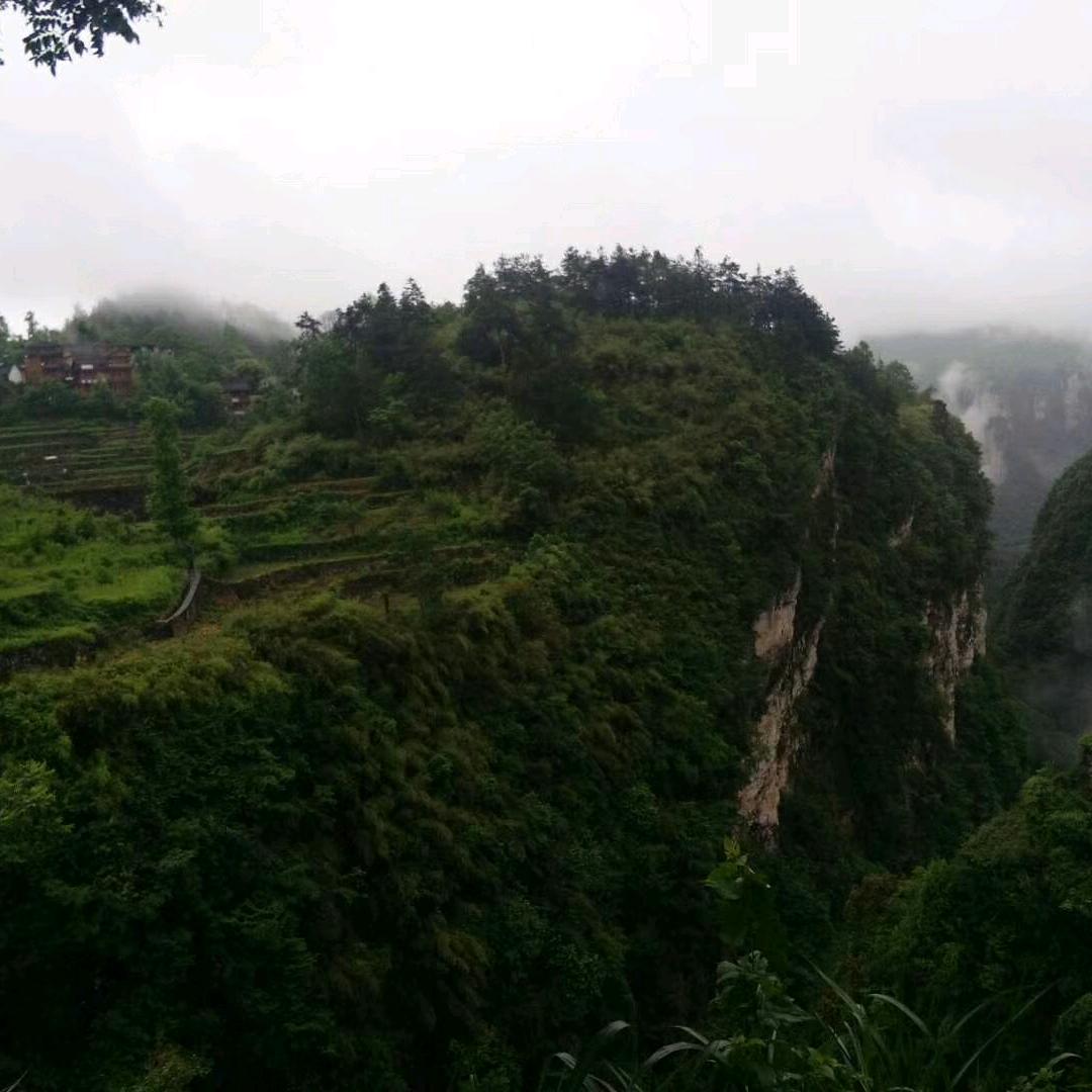 只看不刷