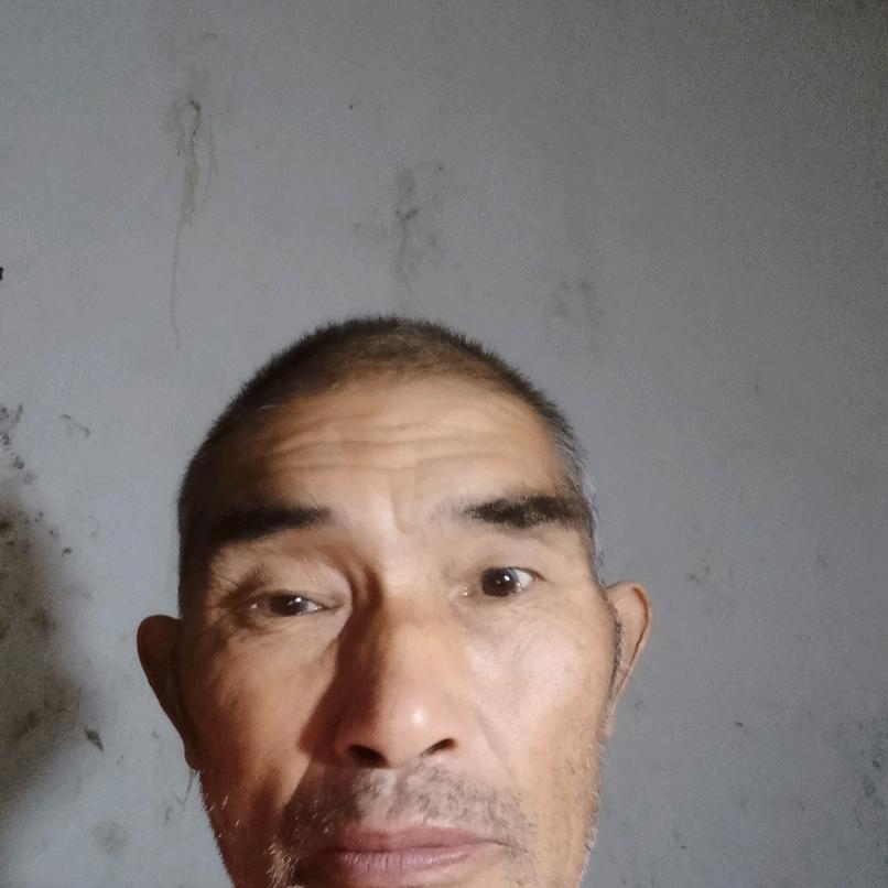 谢碧群