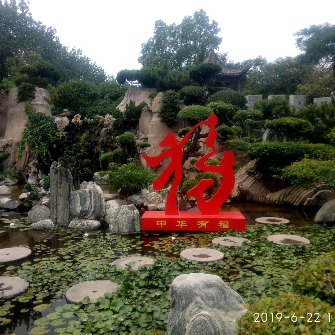 燕子飞行