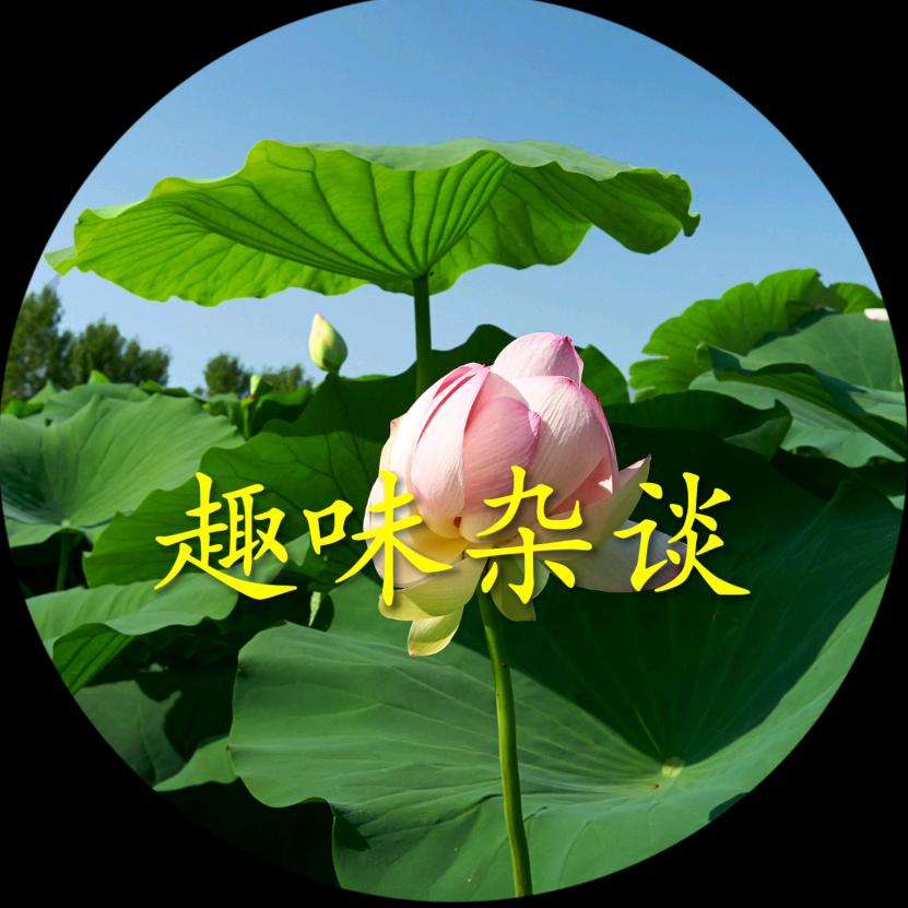 趣味杂谈
