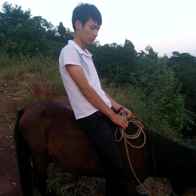 (小杨哥)