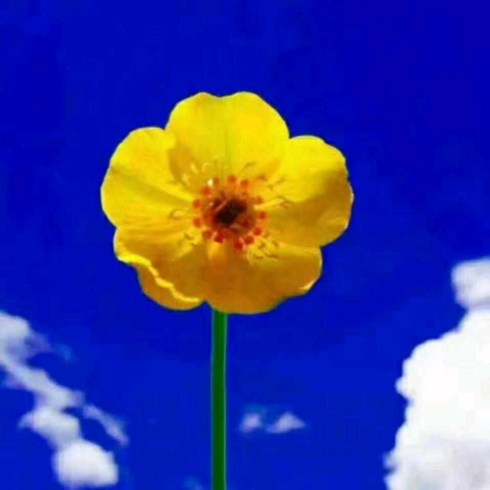 阿