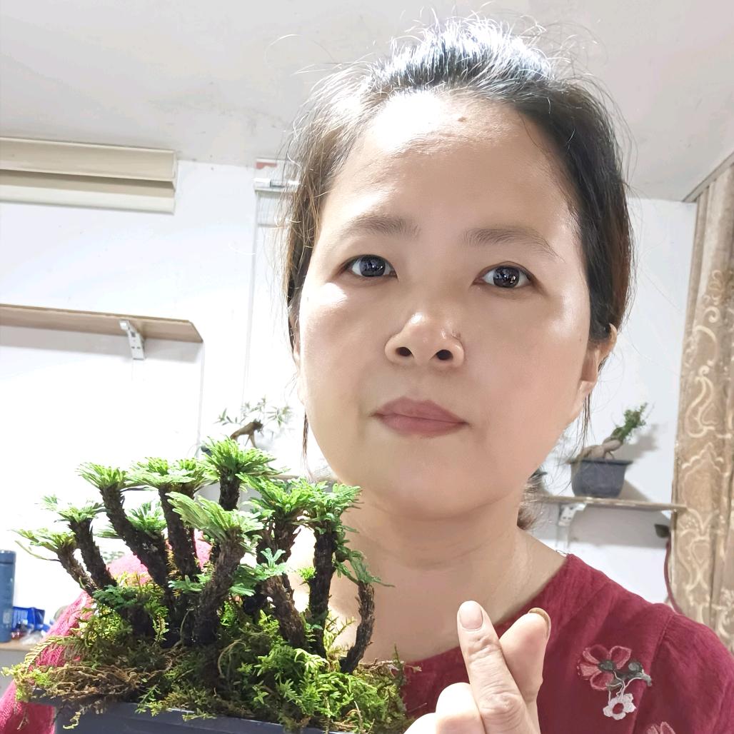 蔡姐绿植