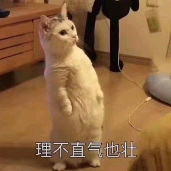 ♥︎