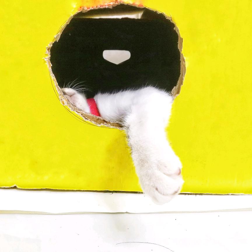 冥想眠绵