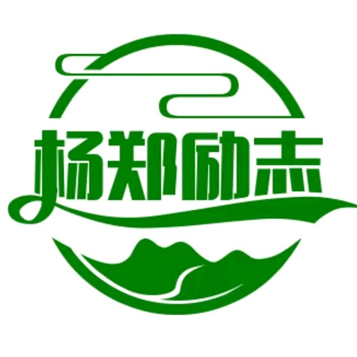 杨郑励志