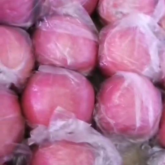 阿文水冶开疆水果批发
