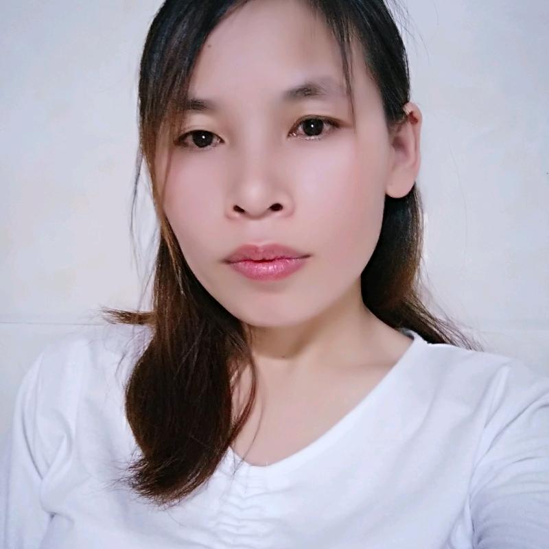 琴