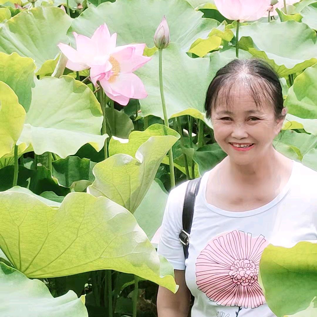 岑芬