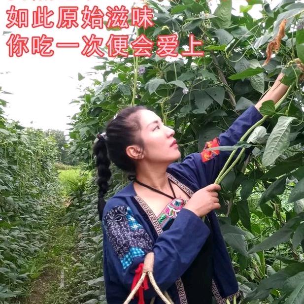 路氏酸艺