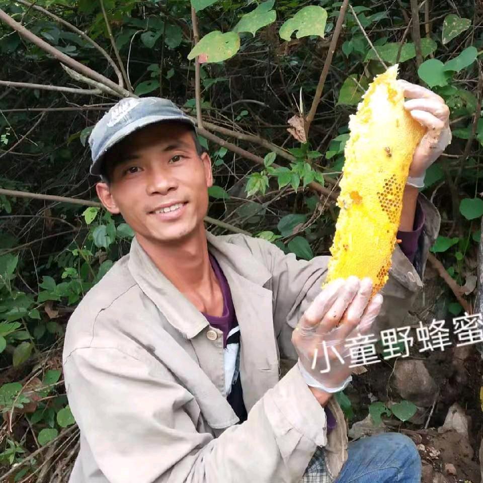 小童搞野